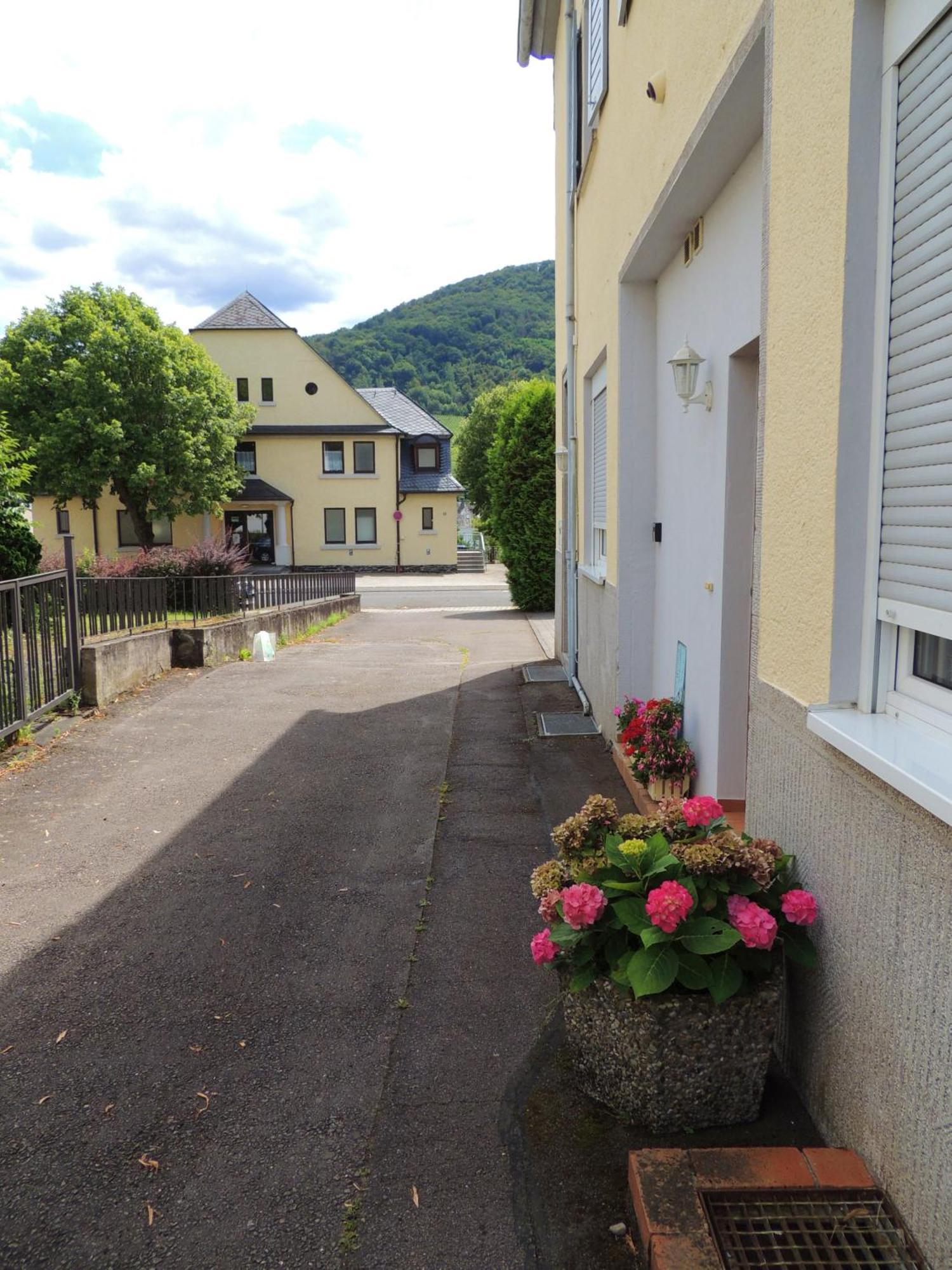 Ferienwohnung Afrika Bernkastel-Kues Exterior foto